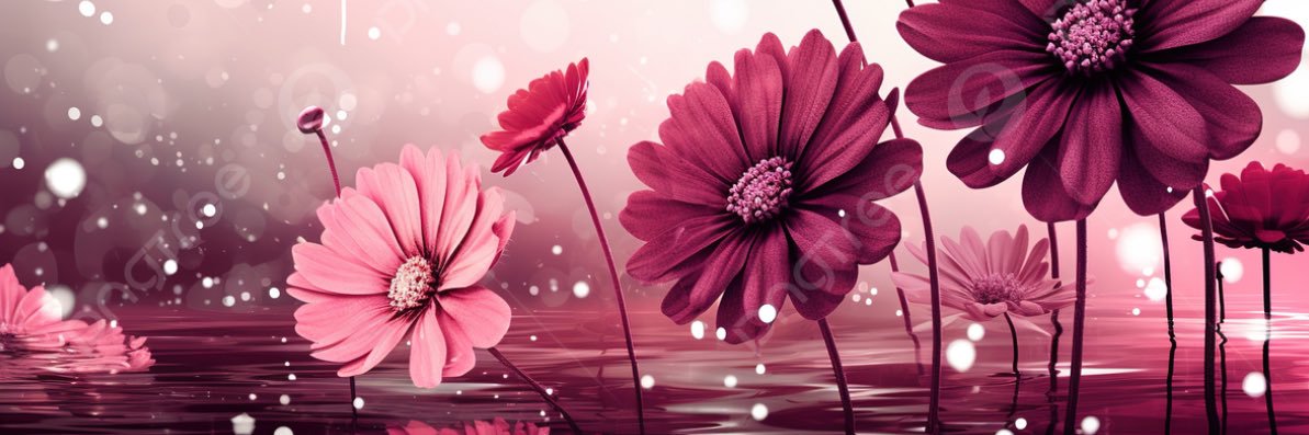 fatoş💫's banner