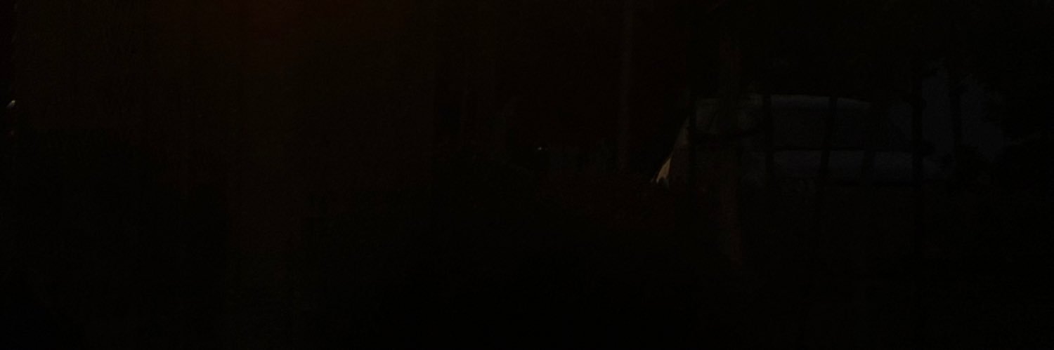 ســارا's banner