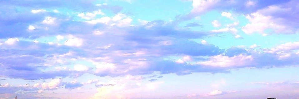 話題をさがすピンちゃん's banner