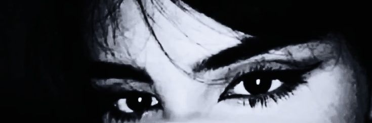 CEYLANN's banner