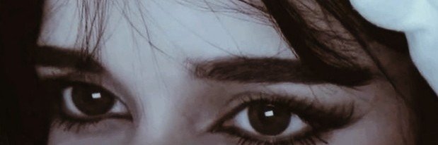 CEYLANN's banner