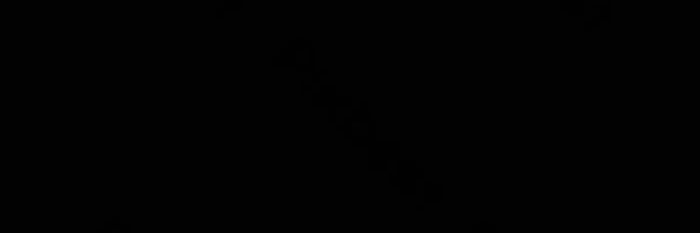 nicolee.'s banner
