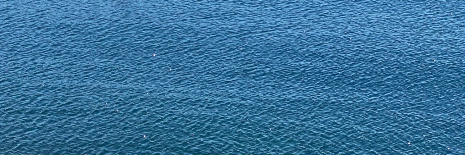 ethan 🎣's banner
