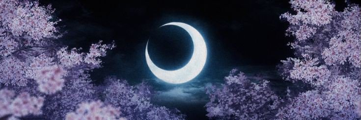 ‍ ًxin's banner