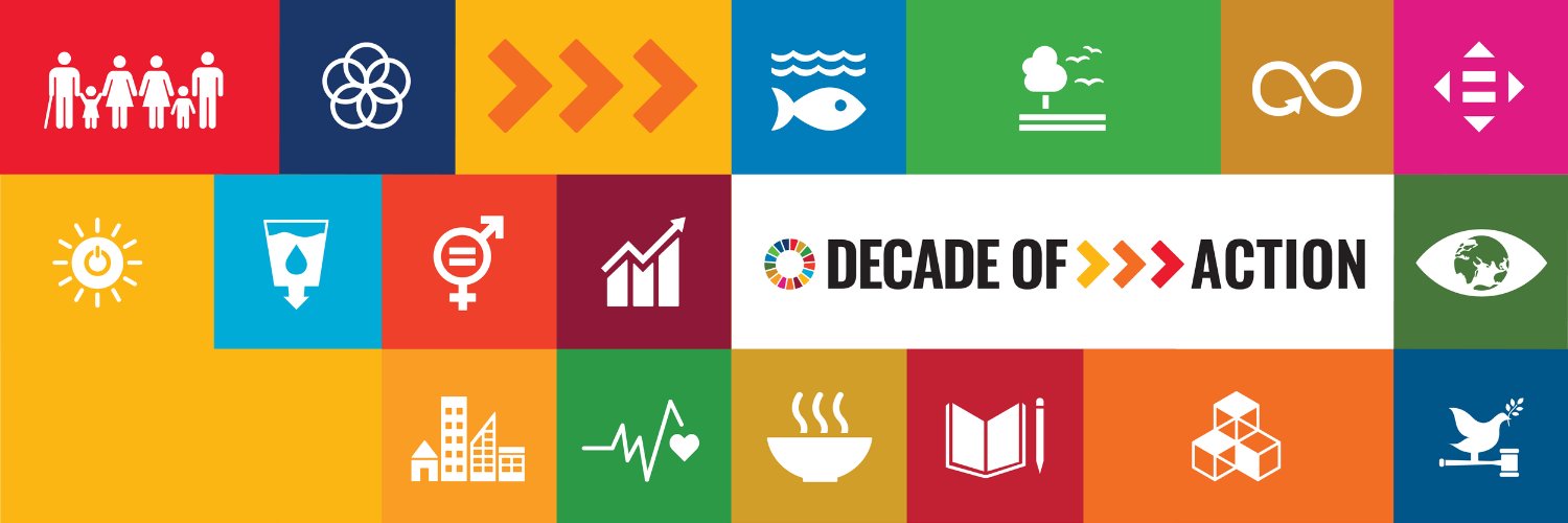 UNDP Nigeria's banner