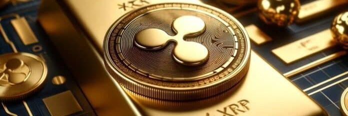 Stone 🇵🇭 🇺🇦 xrp 2021's banner