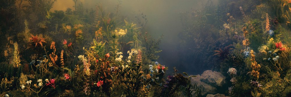 joanna newsom hive's banner