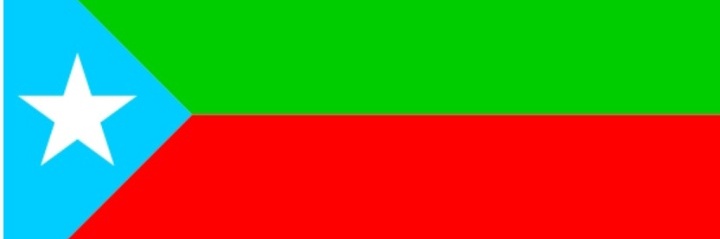 Baloch National League's banner