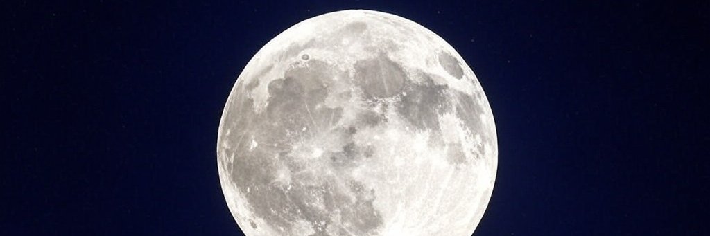 .'s banner