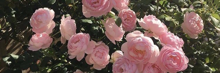 今垣 李華's banner