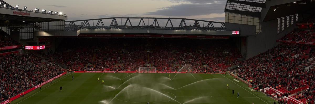 🇮🇪's banner