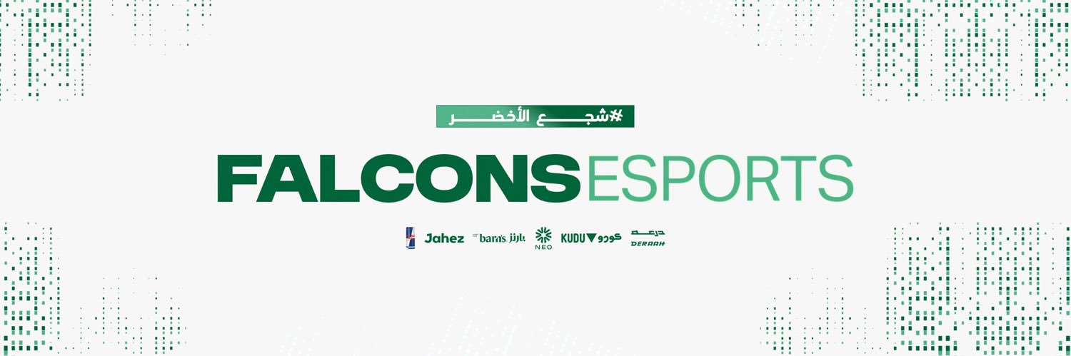 Falcons Esports's banner
