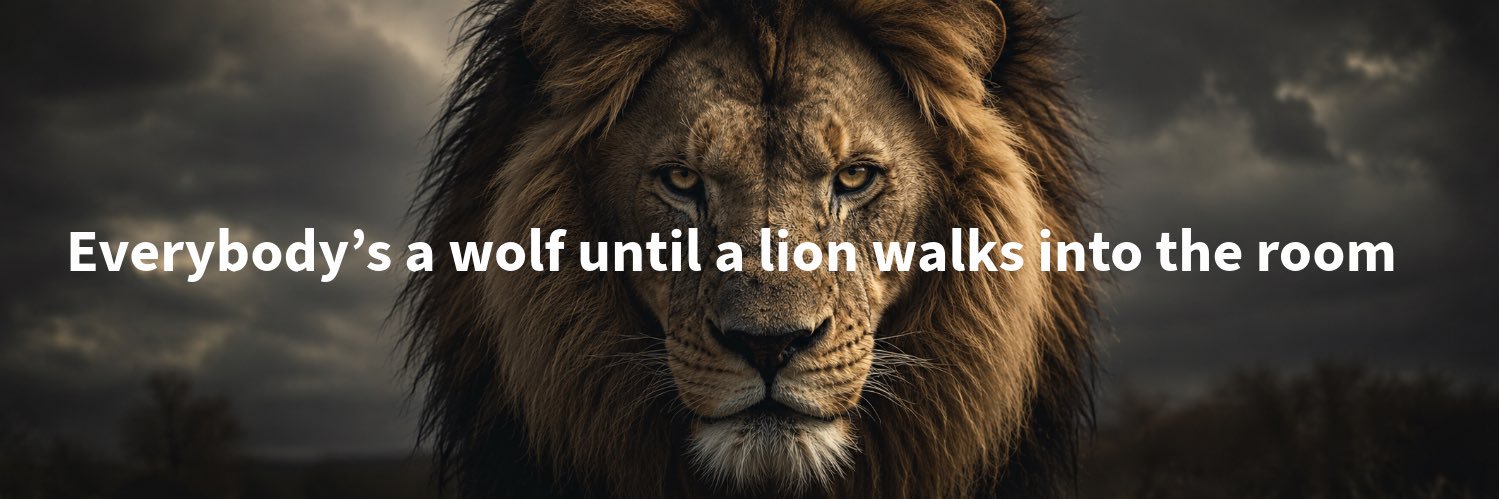 Bullish's banner