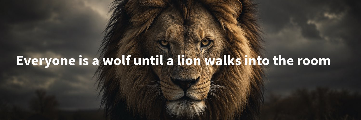 Bullish's banner