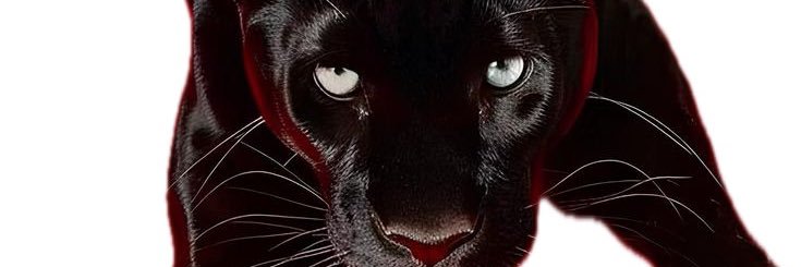 😈Key🫟's banner