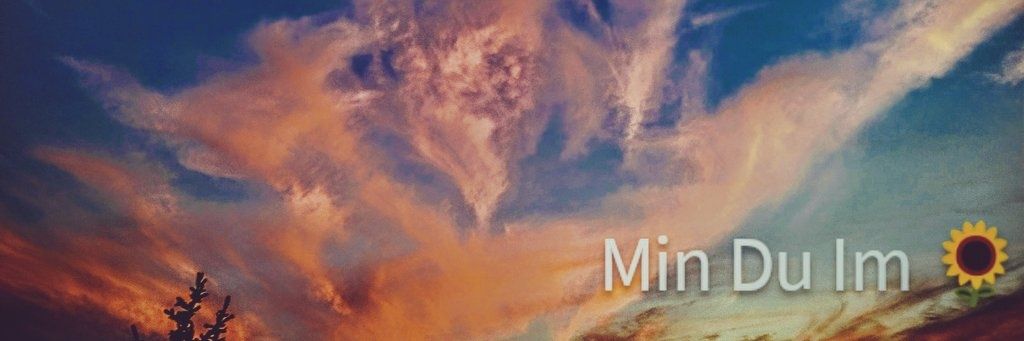 Min Du Im 🇧🇷's banner