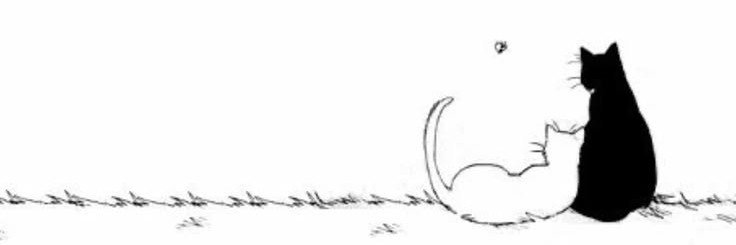 mimie💫's banner