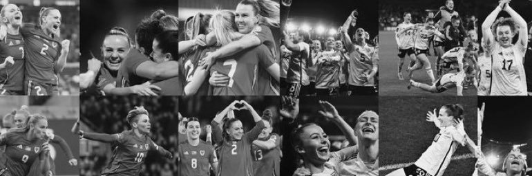 𝔯𝔦𝔥 🏴󠁧󠁢󠁷󠁬󠁳󠁿 🐞's banner