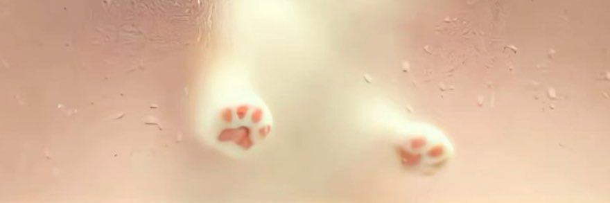 .ᐟ ★'s banner