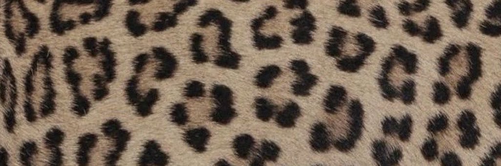 mia⁷'s banner