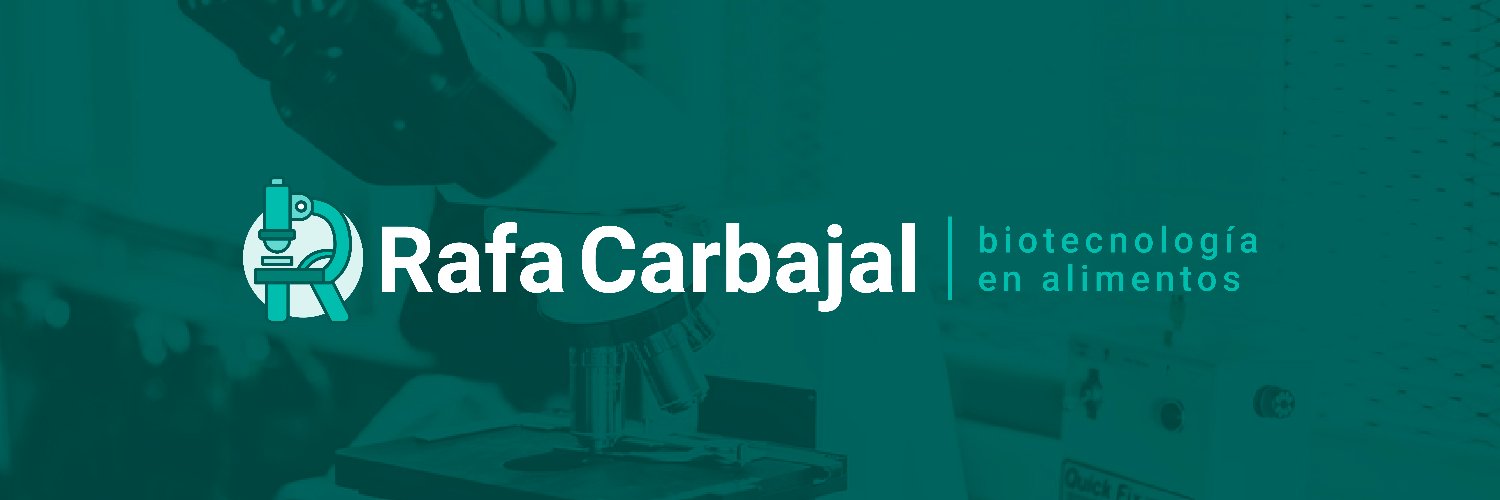 Rafa Carbajal's banner