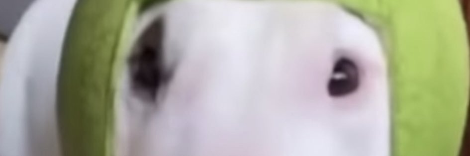 Mox ₊‧°𐐪♡𐑂°‧₊ || Vgen ||'s banner