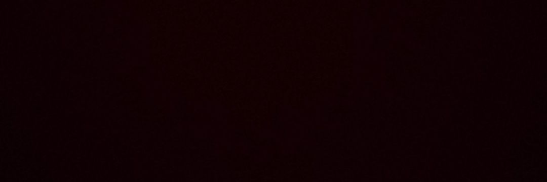 Patricia Borges's banner