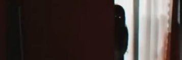 Apex Terror's banner