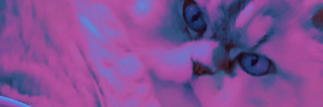 zack's banner