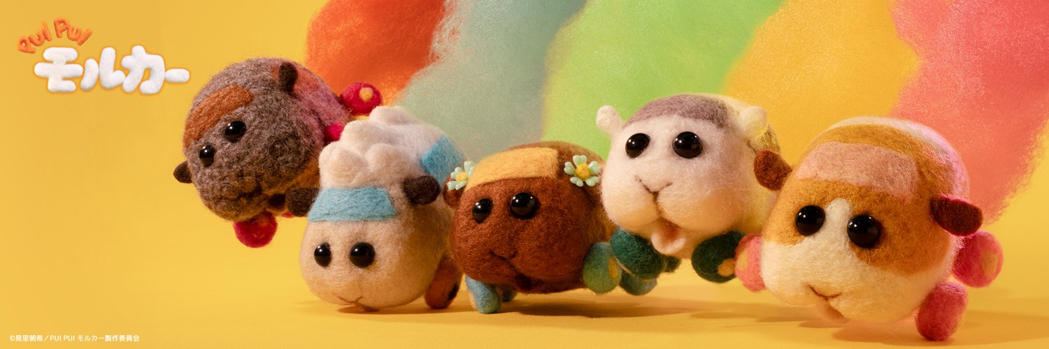 PUI PUI モルカー【公式】's banner