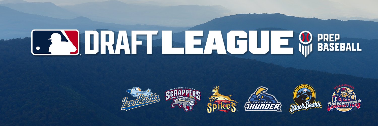 MLB Draft League's banner