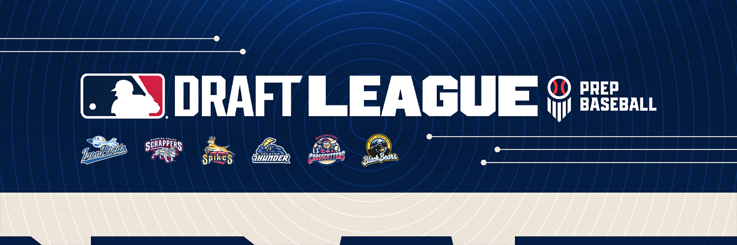 MLB Draft League's banner