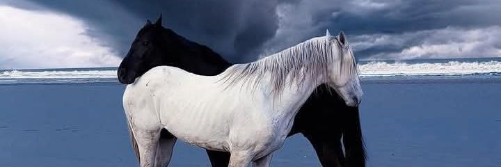 عبدالرحمن إبراهيم💤's banner