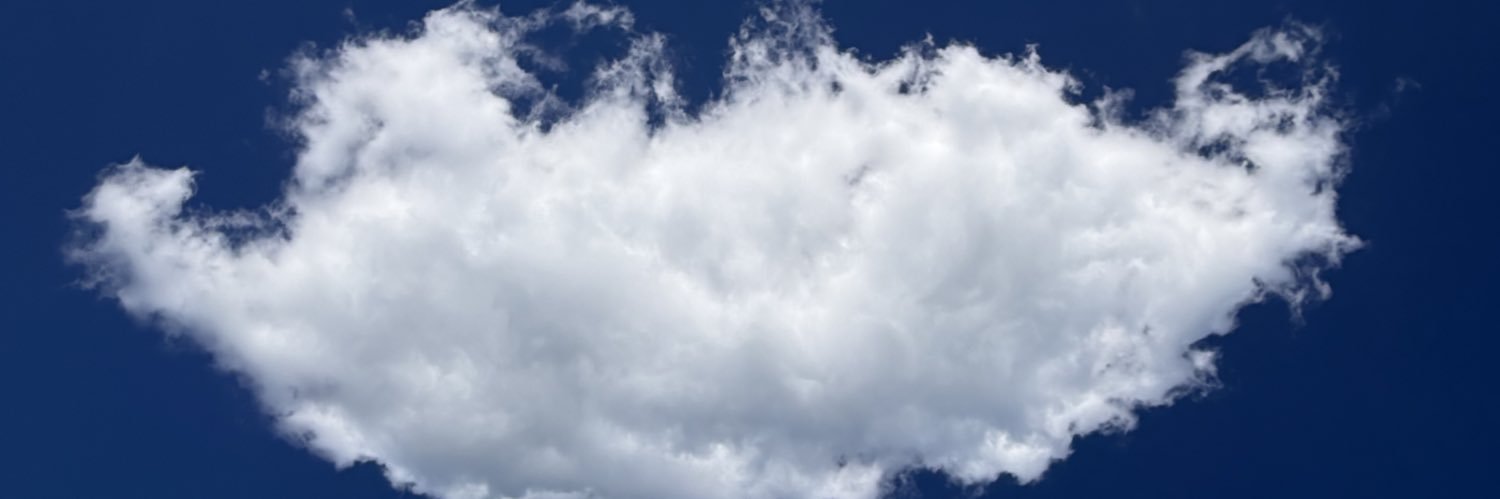 xoxo's banner