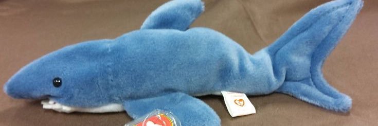 The Shark Guy's banner