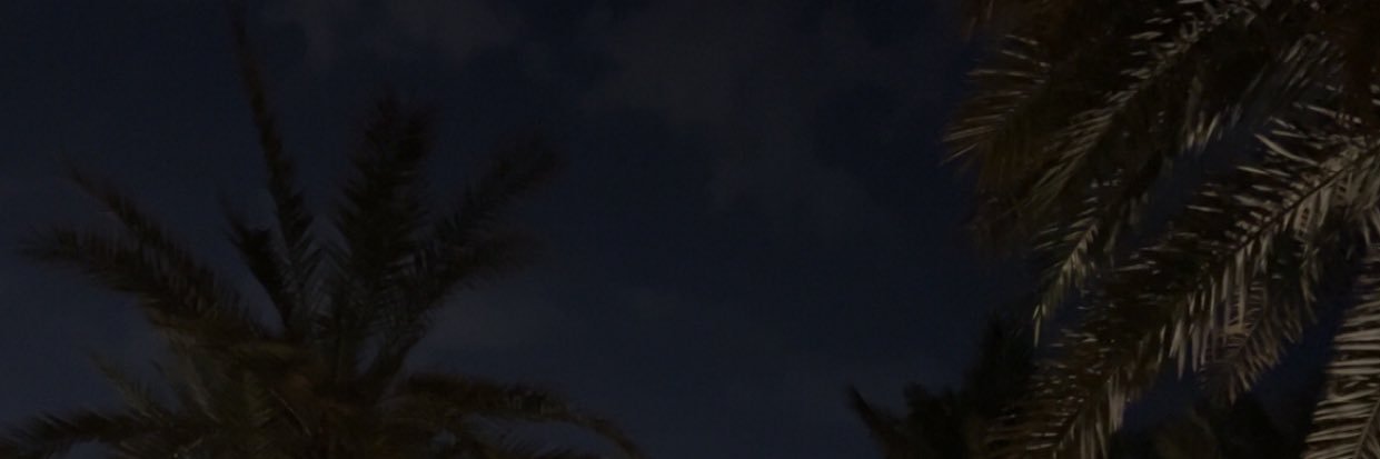 حلا ⭐️'s banner