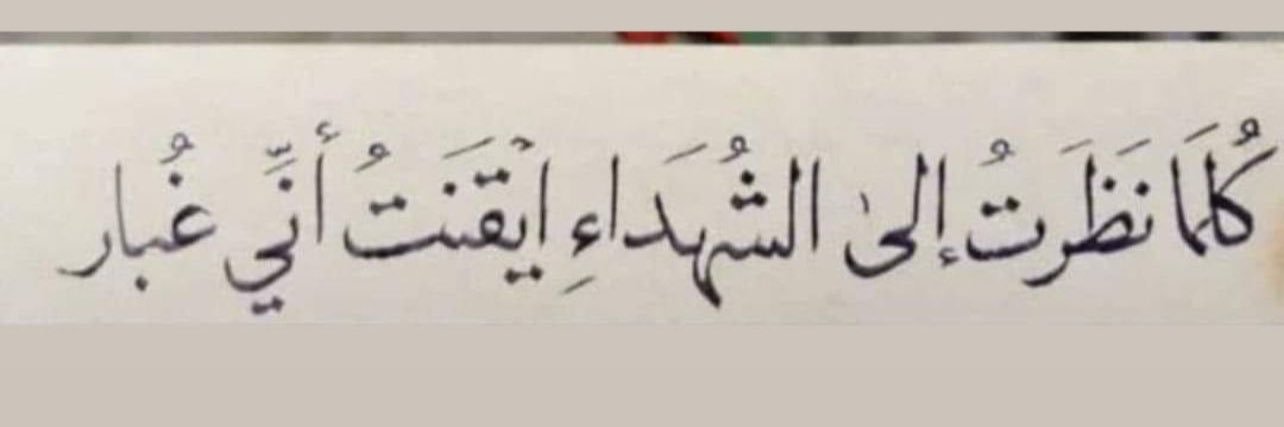 هنا أبوشادي's banner