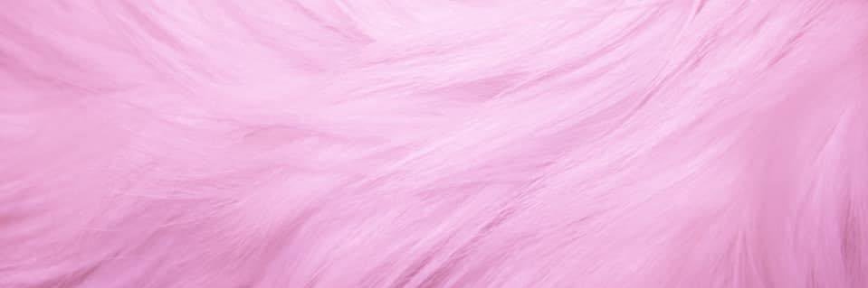 KASHI's banner