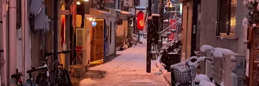 肉じゃが's banner