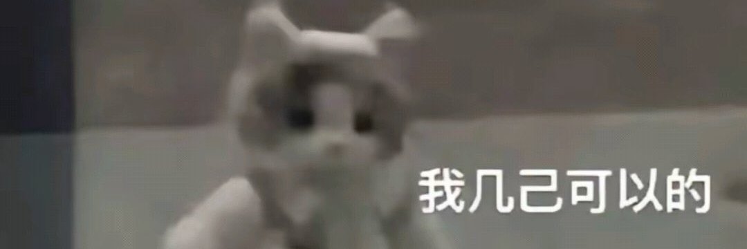 你想要何样的意味's banner