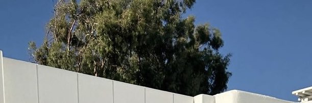 selen''s banner