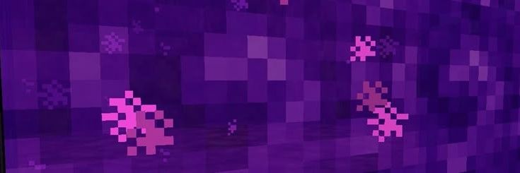 exxcidio | semi rest's banner
