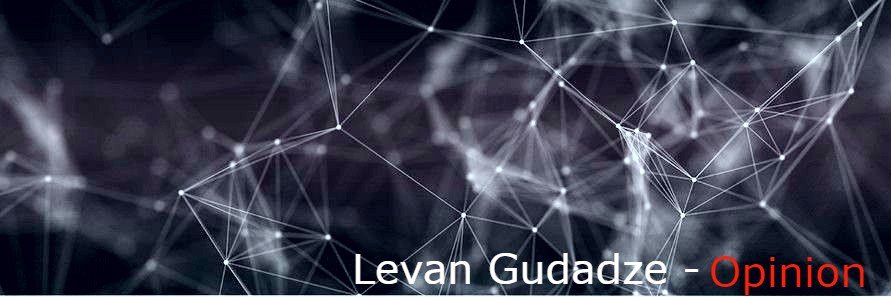 Levan Gudadze's banner