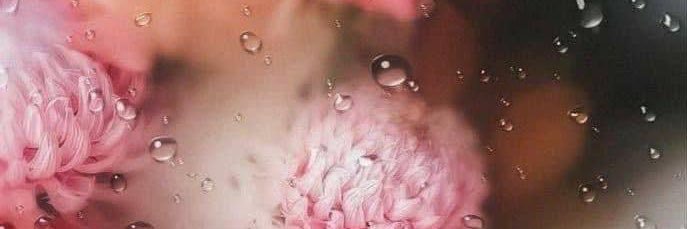 ℳ𝓈. 𝒮's banner