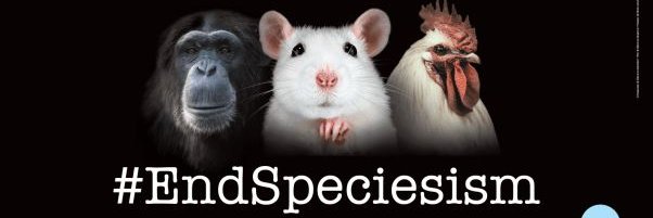 VEGANさっち～♥迫害され続ける動物の声's banner