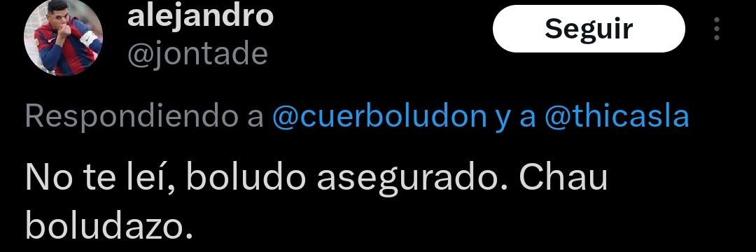 Termo de Bajo Flores's banner