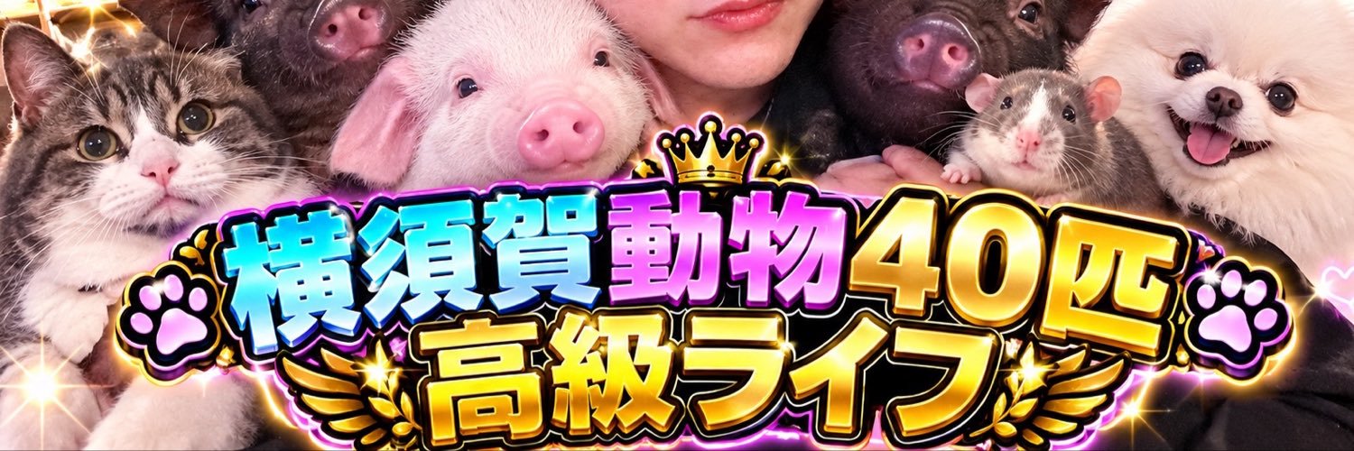 横須賀エンディー's banner