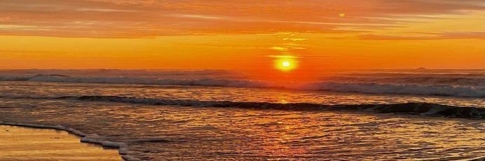 Tatiannarose's banner