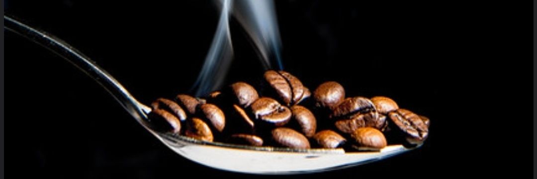Ginevra☕'s banner