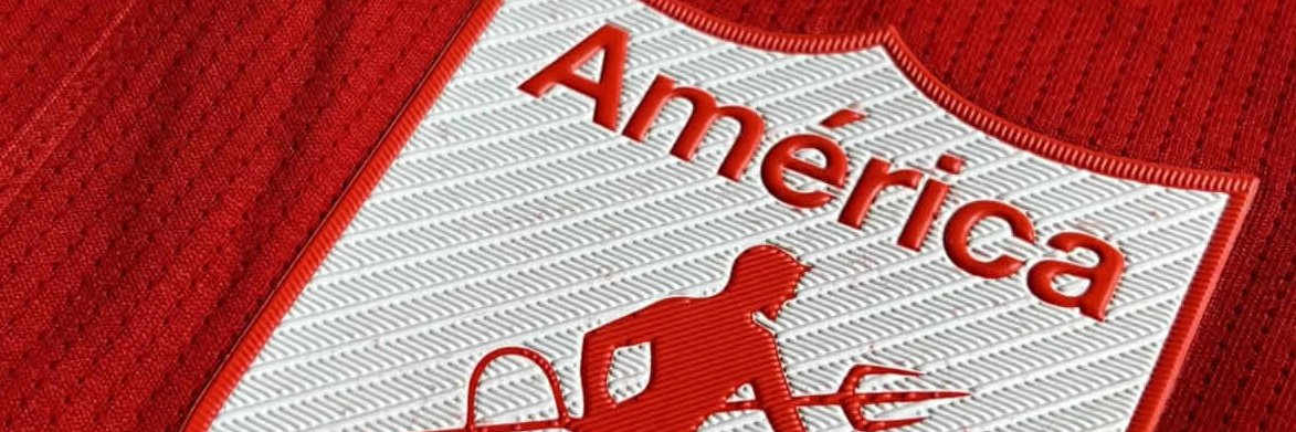 Hinchas de América de Cali's banner